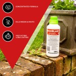 Rootblast | Super Strength Concentrated Total Weed Killer - Super Strength Glyphosate for Effective Weed Control - Kills Weeds down to the their roots